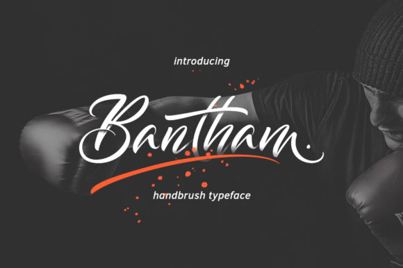 Bantham Font Review: A Relaxed Script for Modern Brands