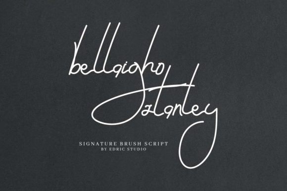 Bellaigho Stanley Font Review for Marketers