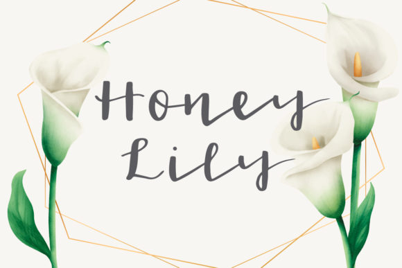 Honey Lily: The Script Handwritten Font for Modern Brands