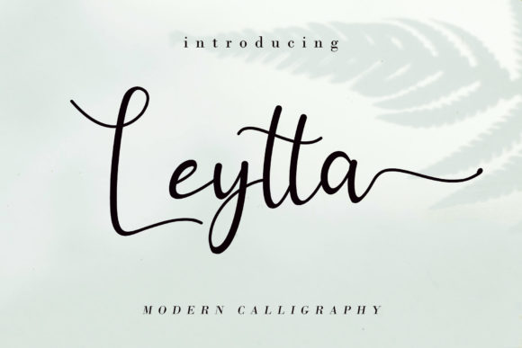 Leytta Font: Elevate Your Brand Identity