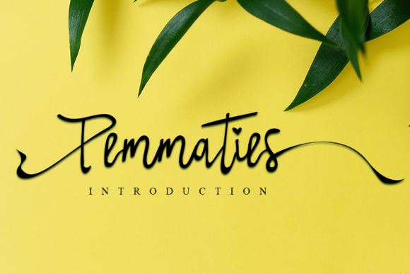 Pemmaties: A Relaxed Script Handwritten Font for Modern Brands