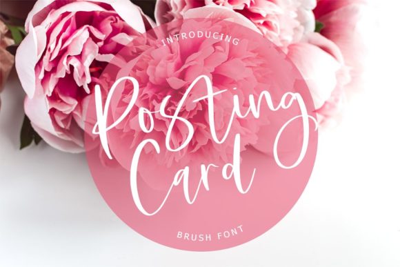 Posting Card: A Joyful Script Font for Branding