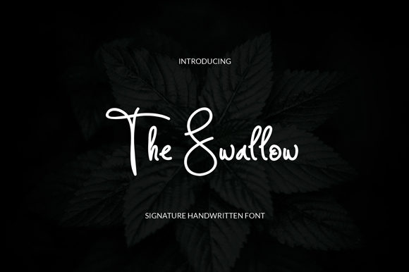 The Swallow Font: A Maker’s Guide to Handwritten Charm